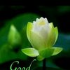 madhu.jgl.hyd