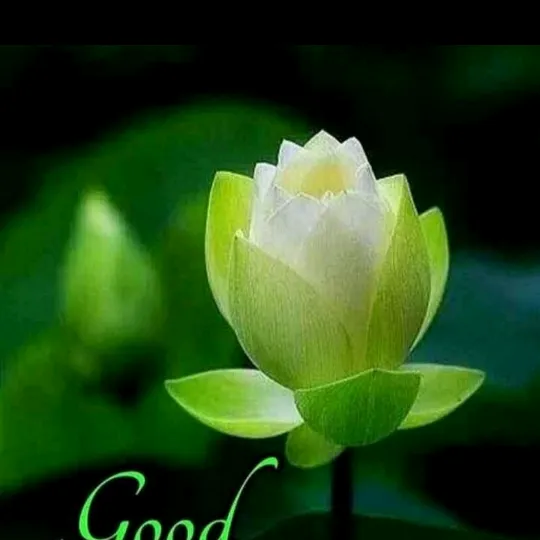 madhu.jgl.hyd