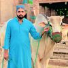 chshahidmarral
