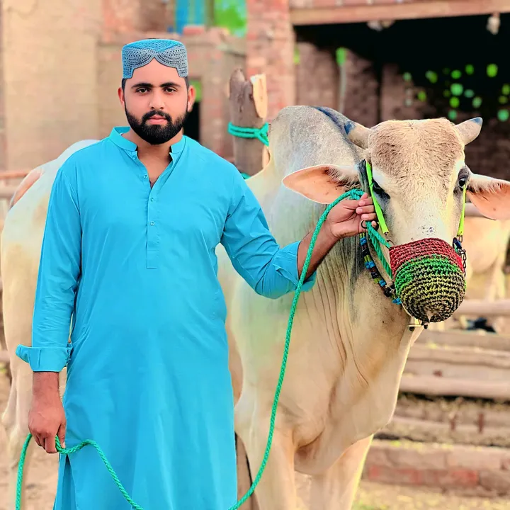 @chshahidmarral
