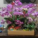 @user8560353619304