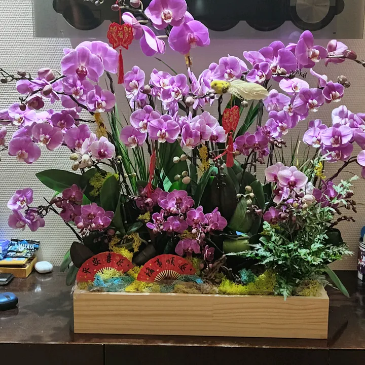 @user8560353619304