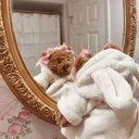 @mesaylamdep