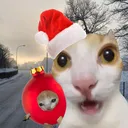 @tolyk_5913