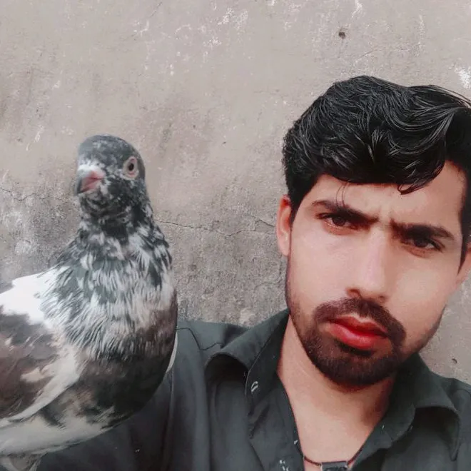 malik_nadeem68