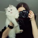 @sophianedzelska
