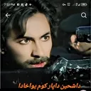 @shaheenafsar418