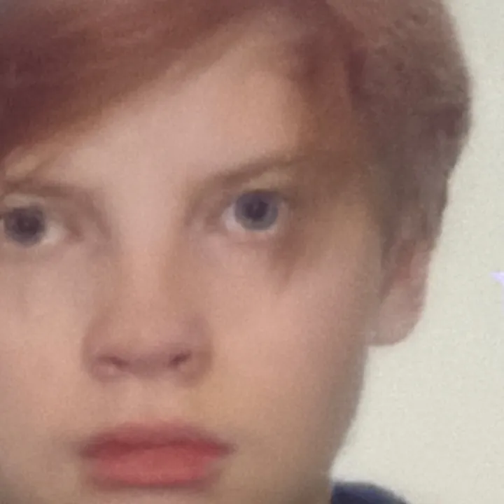 pashapavel_