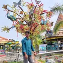 @tabrezansari1374