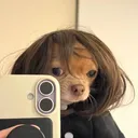 @metzicrystals