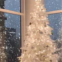 @aaaaarin3