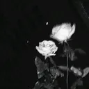 @yvl.hylie