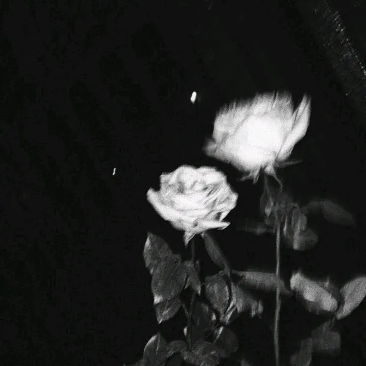 sparkyxz.nitzzh