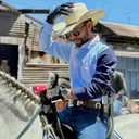 @reydelcaballo.gt