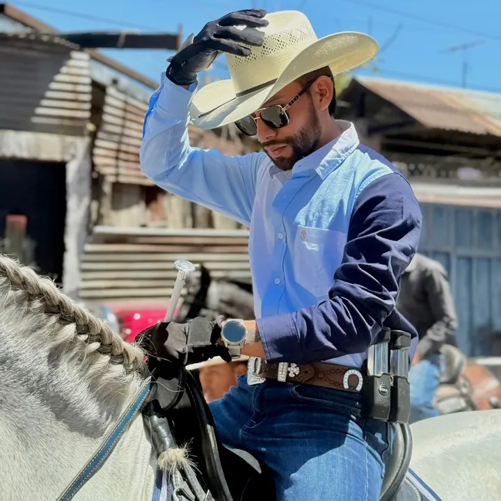 reydelcaballo.gt