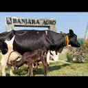 @banjaraagro