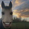 hollyrambling