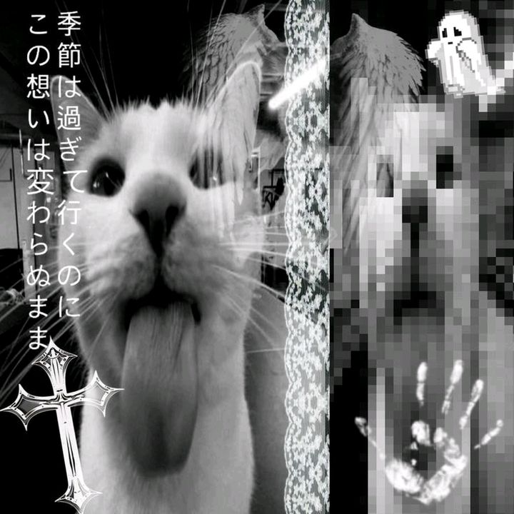 🦇 - original sound