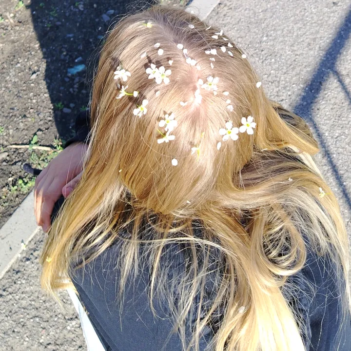 null_li123