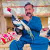 imranwattakhel
