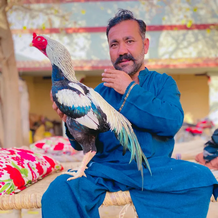 imranwattakhel