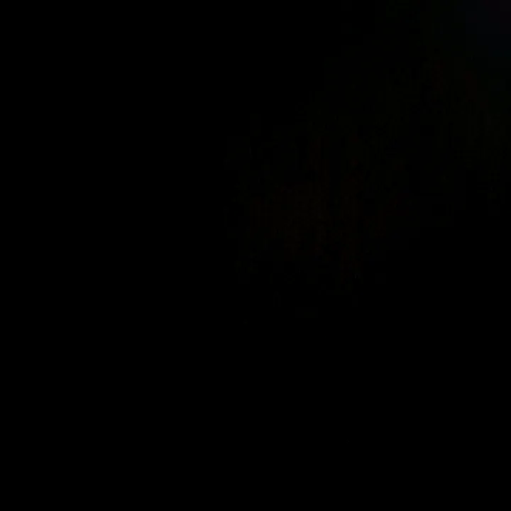 @jenishlama777