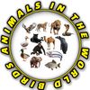 birdsanimalsintheworld