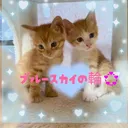 @rinrin0521_0521