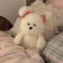 @samoyednekiroom