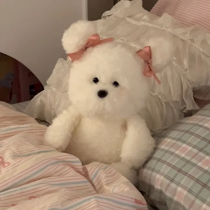 samoyednekiroom