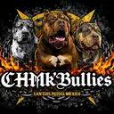 @castrohmksbulls
