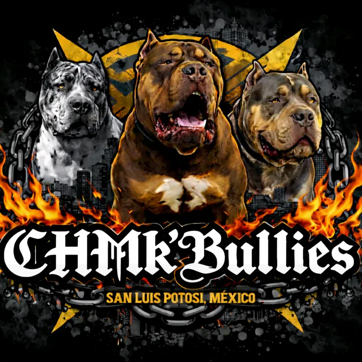 castrohmksbulls