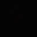 @nisha_kabir
