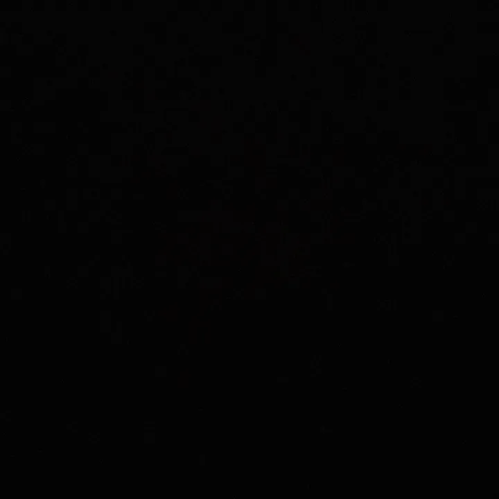 nisha_kabir