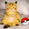 kittensuniverse