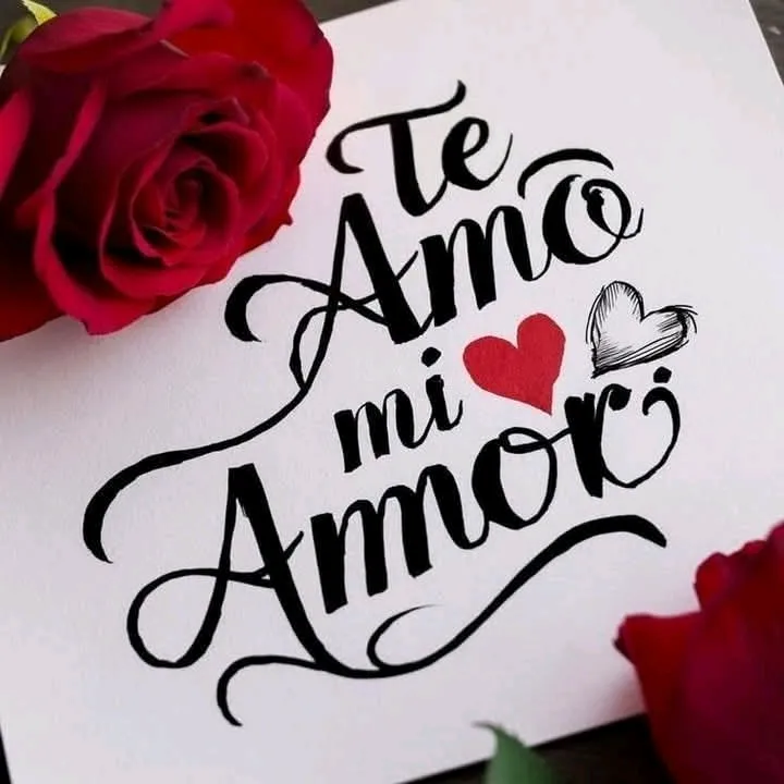 humorbellezamusica