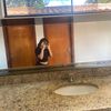luz.m7165