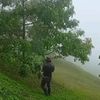 adydurianfarm
