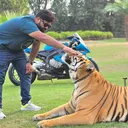 @ahsanmehar_official