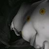 jade_2014112