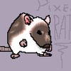 p1xelrat