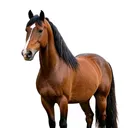 @trickyisopod