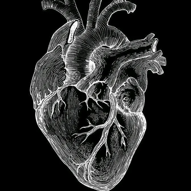 miraliyev_lyrics