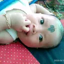 @budak.capruk.com