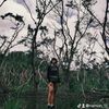 narniah_15