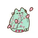 @puupusikk
