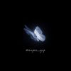 grp._enpes