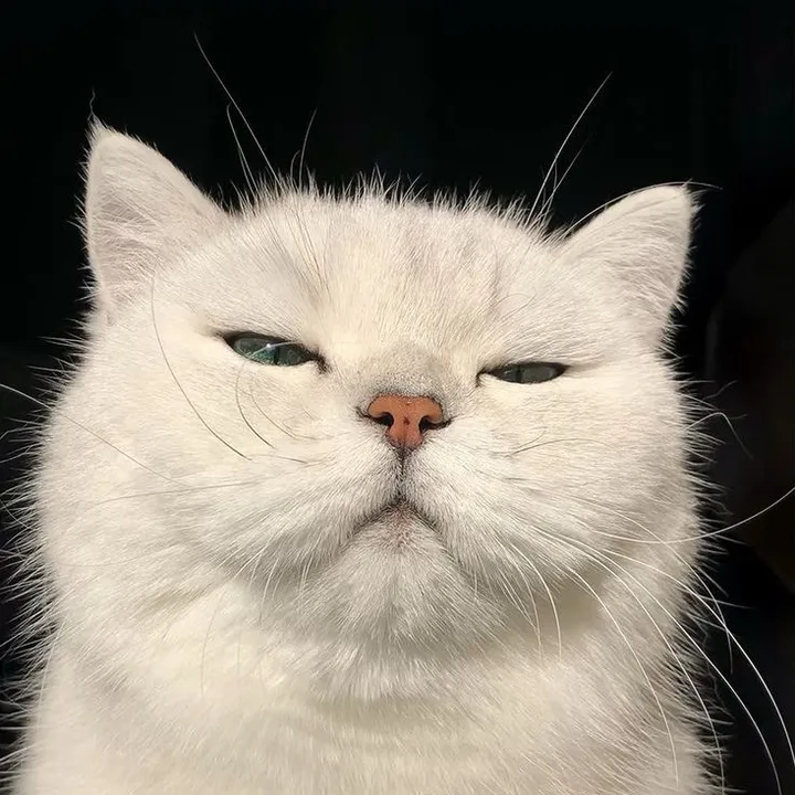 puteriishahiraa