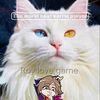roylovegame