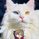 @roylovegame